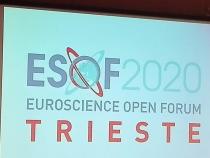 Research: Farnesina supports EuroScience 2020 Trieste Research: Farnesina supports EuroScience 2020 Trieste