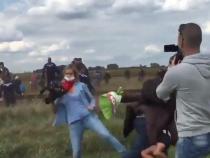 Petra Laszlo, reporter that tripped refugees, apologizes Petra Laszlo, reporter that tripped refugees, apologizes