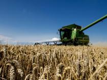 Poland's wheat exports almost doubled in 2014 Poland's wheat exports almost doubled in 2014