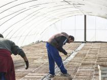 Hungary, Eur 1.2 bln foreign direct investment in 2015 Hungary, Eur 1.2 bln foreign direct investment in 2015