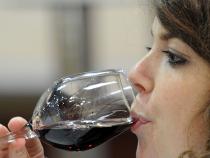 Wine: Croatia may use the name Terrano Wine: Croatia may use the name Terrano
