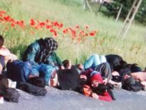 Hungary approves anti-immigrant barrier Hungary approves anti-immigrant barrier