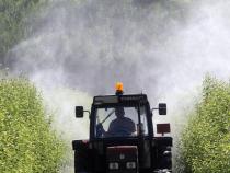 Record 1,500 exhibitors at agricultural fair in Serbia Record 1,500 exhibitors at agricultural fair in Serbia