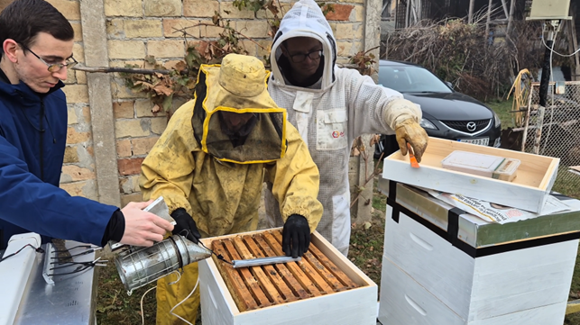 Beehive installation and training
