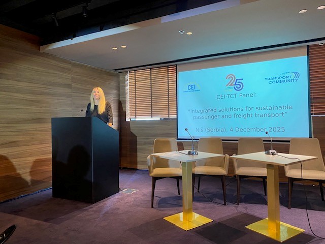 Dsg Kiraly at the CEI-TCT panel in Niš (Serbia) 