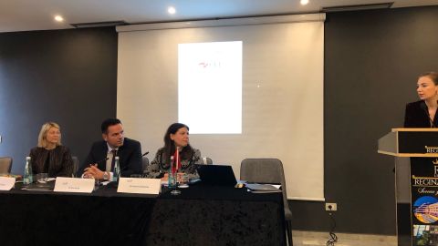 Expert Panel “Enhancing cross-border connectivity in the CEI region exploiting sustainable transport solutions” (Vlora, 14 November 2024)