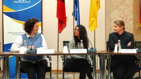 1st Conference on Science Diplomacy in Central, Eastern and South-eastern Europe (Trieste, 20-21 November 2024) - panel a