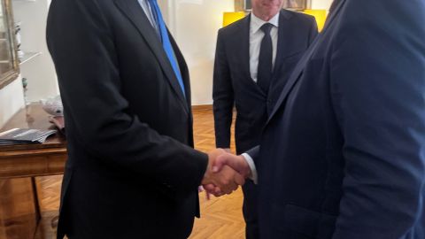 Meeting with the Secretary General of the Farnesina Riccardo Guariglia