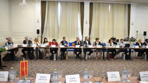 49th SEEHN plenary meeting and 25th anniversary