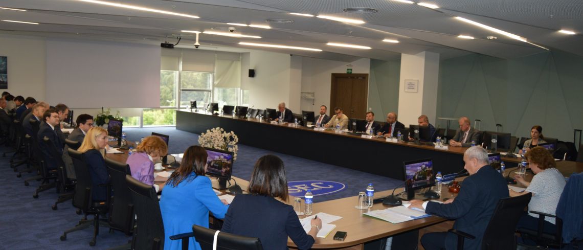 Committee of National Coordinators Meeting (Istanbul, 30 May 2023)
