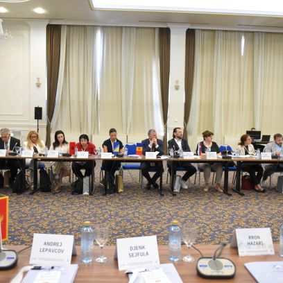 49th SEEHN plenary meeting and 25th anniversary