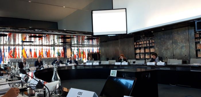  CEI Steering Committee meeting and Committee of National Coordinators meeting (London, 10 April 2019)