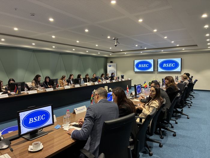 8th Workshop for Young Diplomats from the BSEC Member States (Istanbul, Turkey)