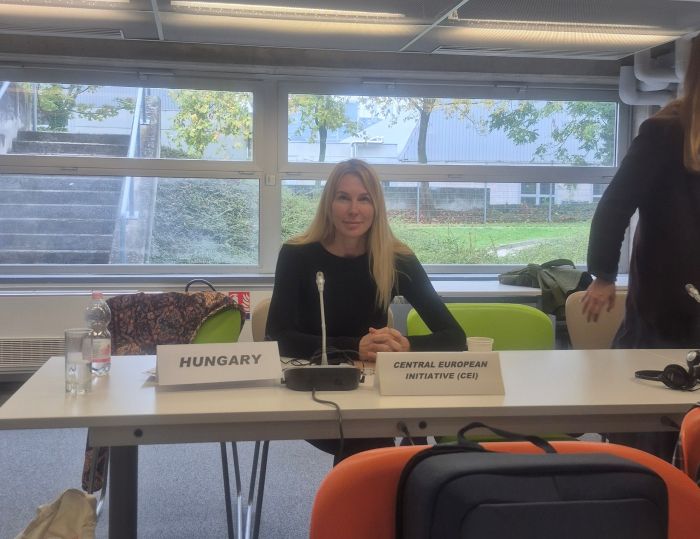 78th meeting of the European Steering Committee for Youth (CDEJ) and the 55th session of the Joint Council on Youth (CMJ) (Strasbourg, 19–21 October 2026)